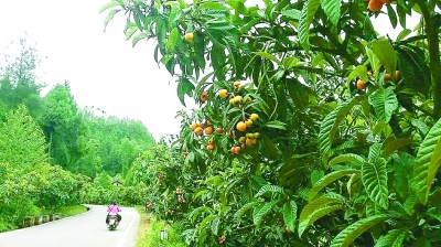 在充满希望和信心的村庄里