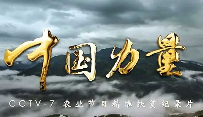 中国力量