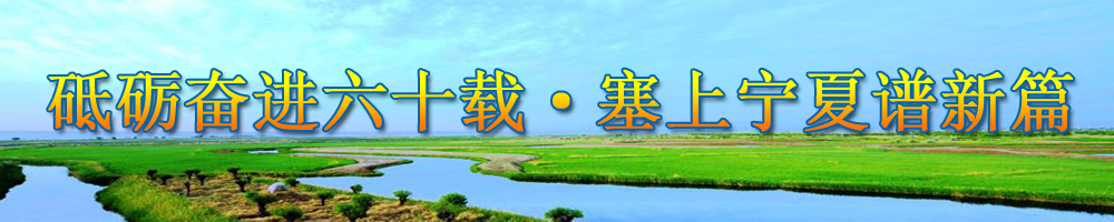 砥砺奋进六十载·塞上宁夏谱新篇