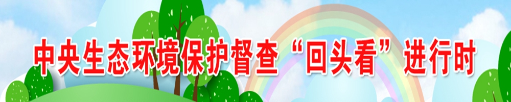 中央生态环境保护督查“回头看”进行时