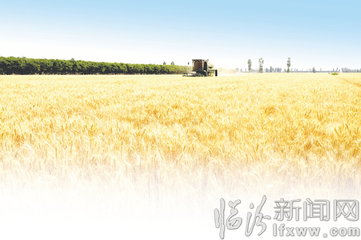14094625pkda.jpg