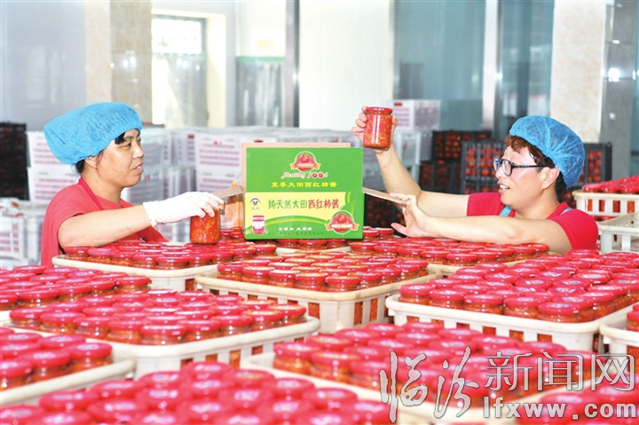 06085656vgpk.jpg