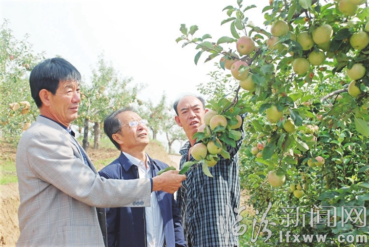 巩固未脱贫人口和脱贫摘帽县_脱贫摘帽的相关图片(3)