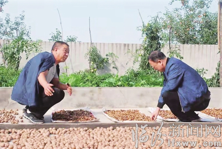 巩固未脱贫人口和脱贫摘帽县_脱贫摘帽的相关图片(3)