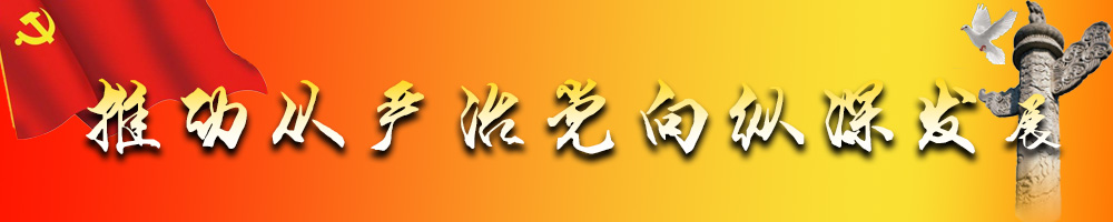 推动从严治党向纵深发展