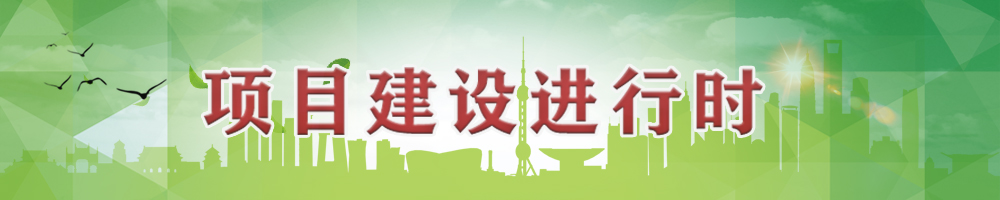 项目建设进行时