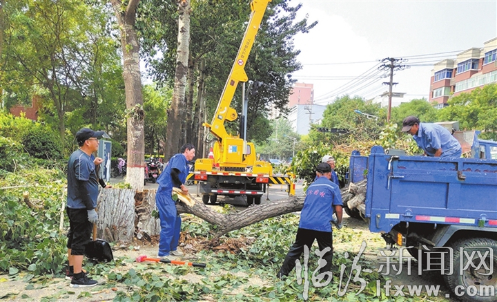 临汾市城市管理系统： 未雨绸缪 护好家园