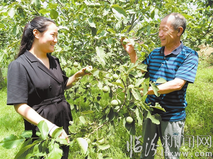 尧都区乔跃楠：女承父志接力带民富