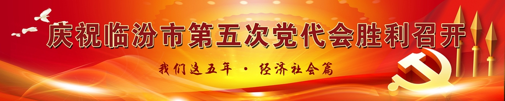 庆祝临汾市第五次党代会胜利召开 我们这五年·经济社会篇
