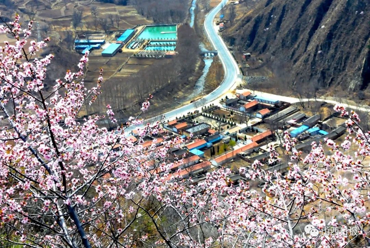 碧桂园声明：杨国强、杨惠妍父女离境系谣言