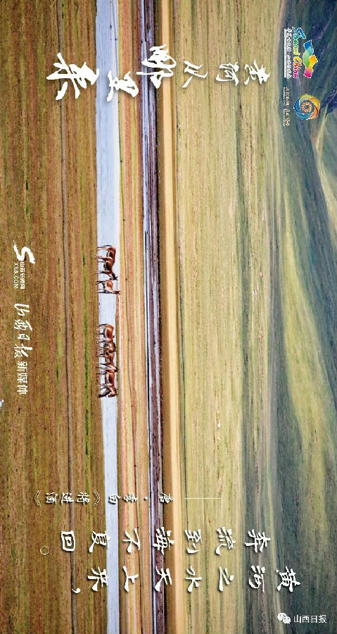 海報丨九曲黃河多姿態，詩中自有答案