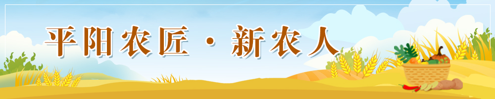 平阳农匠·新农人 