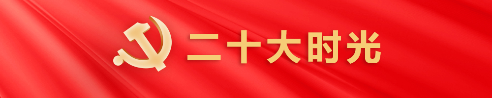 二十大时光