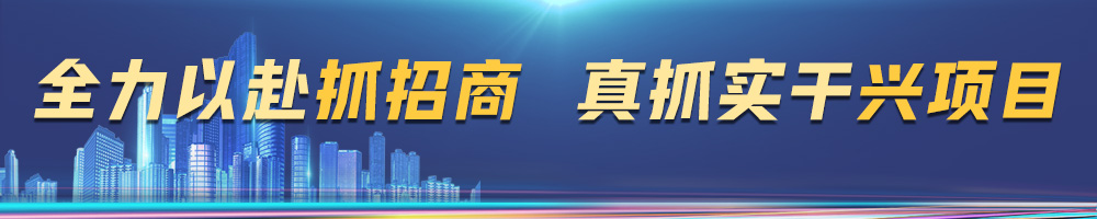 全力以赴抓招商 真抓实干兴项目