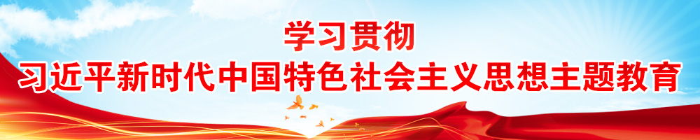 学习贯彻习近平新时代中国特色社会主义思想主题教育  