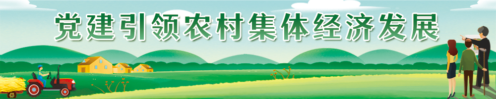 党建引领农村集体经济发展