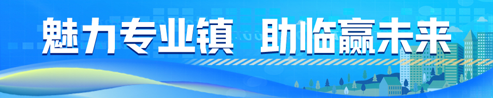 魅力专业镇 助临赢未来