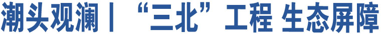 潮头观澜丨“三北”工程 生态屏障