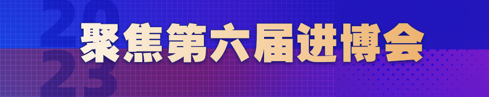 聚焦第六届进博会