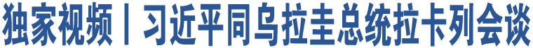 独家视频丨习近平同乌拉圭总统拉卡列会谈
