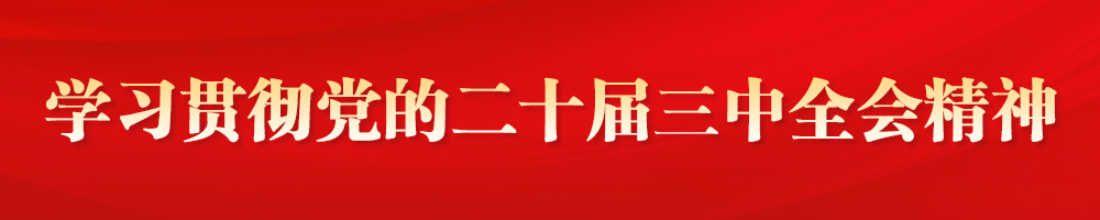 学习贯彻党的二十届三中全会精神