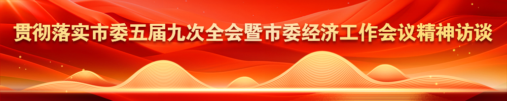 贯彻落实市委五届九次全会暨市委经济工作会议精神访谈