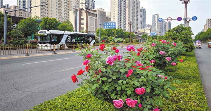 临汾：一路生花