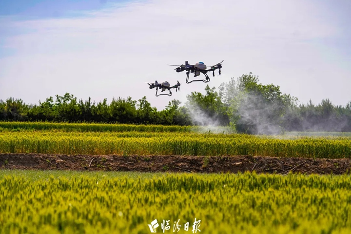 临汾多地无人机“上岗”，助力夏粮稳产～