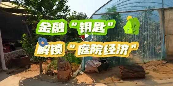 浮山农家小院变“致富园”！
