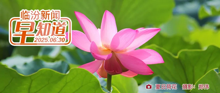 山洪灾害气象风险预警/市房地产服务中心公示/车驾管业务“主动办”