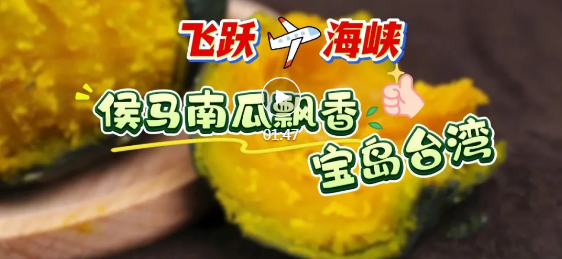 飞越海峡！侯马南瓜飘香宝岛台湾