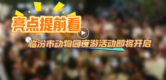 夜游来啦！一键解锁临汾市动物园新玩法