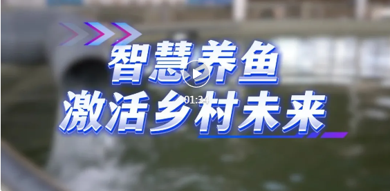 “慧”养鱼！古县这里好多鱼~