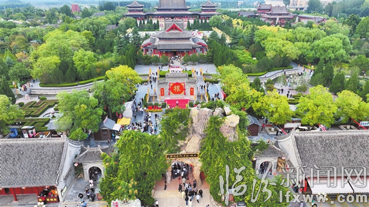 鸟瞰大槐树.jpg