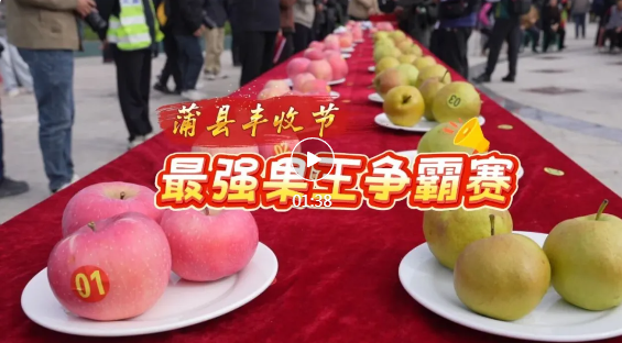 蒲县“果王”争霸！看看谁厉害~