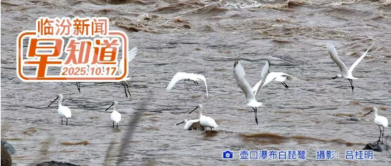 市区科委巷等部分路段今起封闭施工/洪洞广胜寺景区恢复开放/市区最新房价地图出炉/全国成人高考，临汾设9处考点
