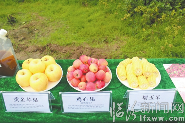 农产品展台.jpg