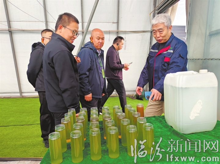 粪污净化 成效显著.jpg