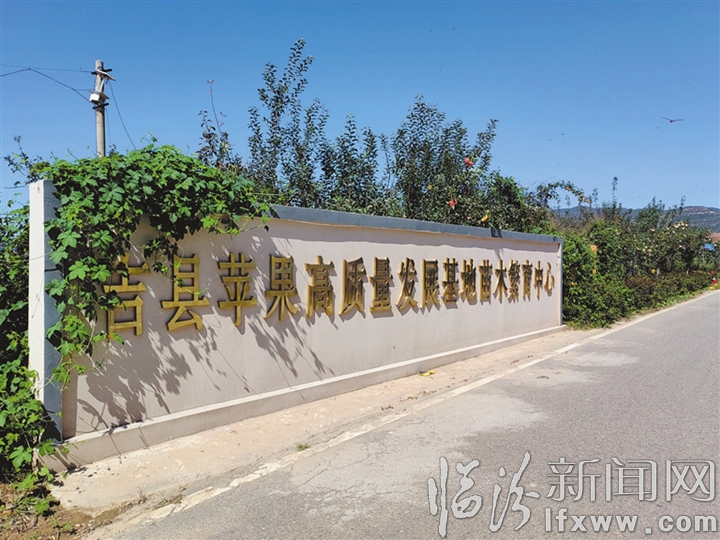 壶口镇苹果产业基地蜻蜓显著增多,正是当地生态环境持续向好、良性循环的直观反映。.jpg