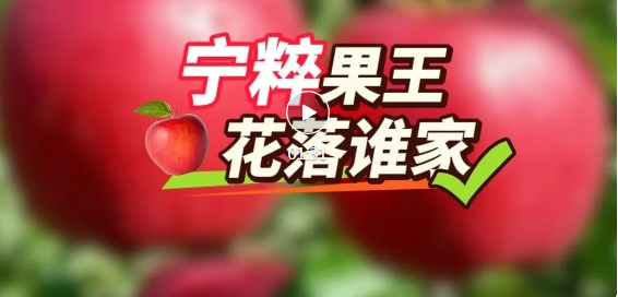 哎呀呀！临汾这里藏不住了，好吃又好逛~