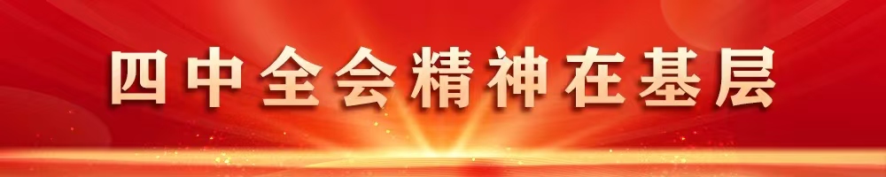 四中全会精神在基层