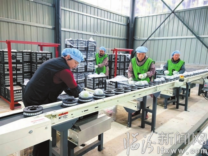 智慧分拣 品质为王.jpg