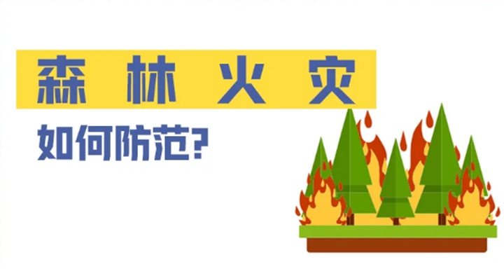 冬季森林防火，这些知识要牢记！