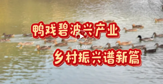 四中全会精神在基层 | 浮山桥北村，特色产业“挑大梁”