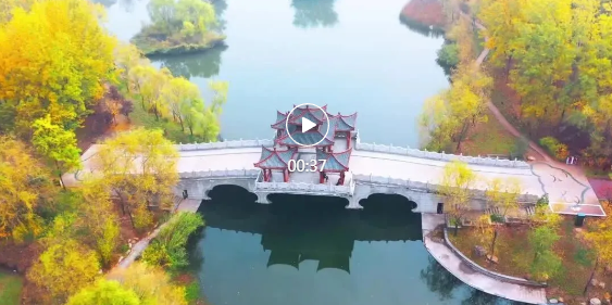 把诗和远方装进“口袋”！临汾，太懂了！