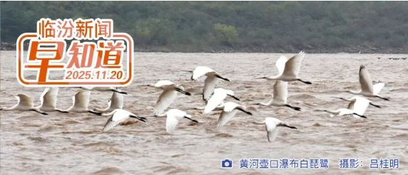 临汾市级公益岗招用300人/市教育局公示/市交警支队曝光典型案例