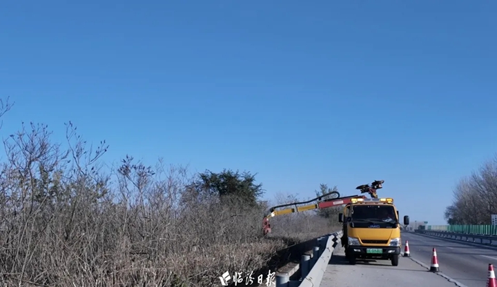 临汾“Tony老师”，为59.8公里苗木换“发型”！