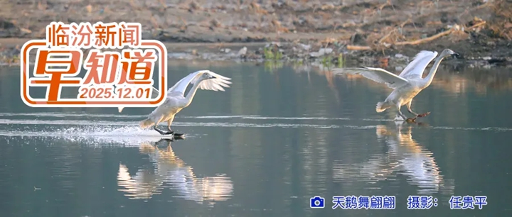 1—10月全市经济运行情况公布/市商务局公示/翼城发现北魏孝昌二年造像碑