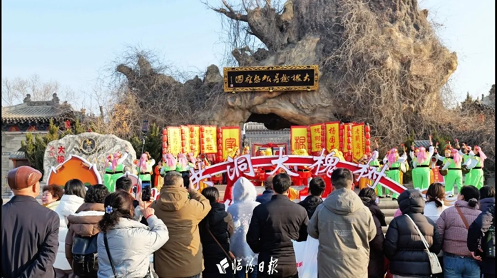 大槐树景区，精彩依旧！