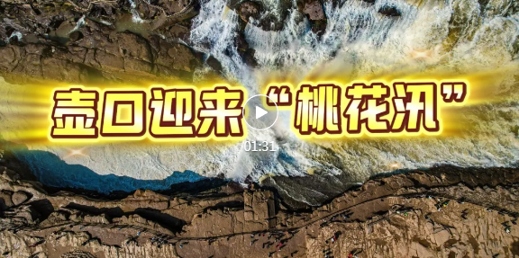壶口瀑布“桃花汛”，惊艳登场！